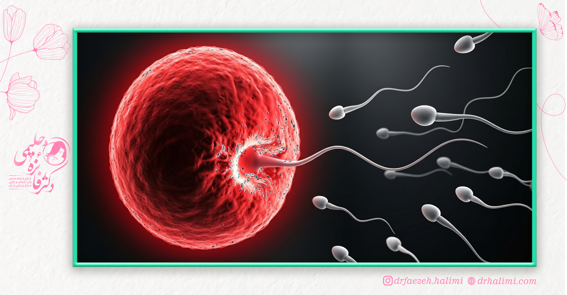 چالش های انتقال جنین