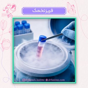 فریز تخمک