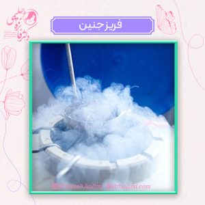فریز جنین
