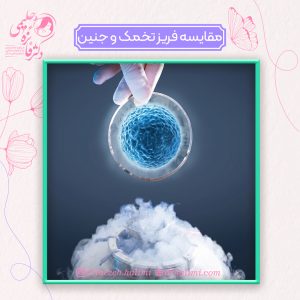 مقایسه فریز تخمک با فریز جنین